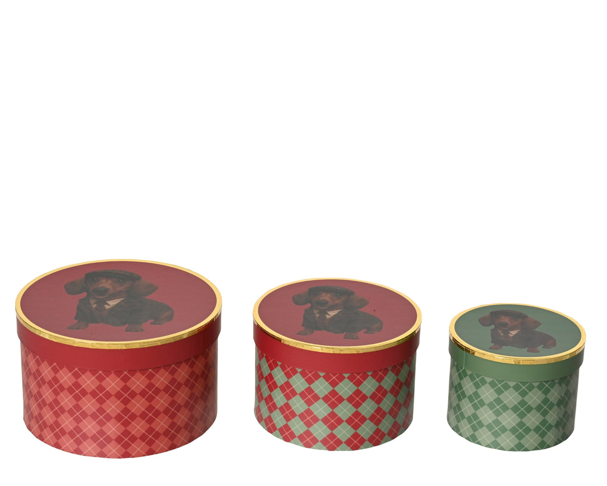 374413-Cajas de regalo redondas con estampado de perro salchicha juego de 3-navidad-envio-canarias