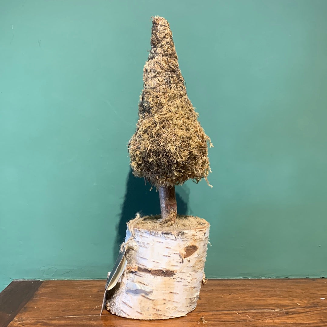 Árbol Natural con musgo