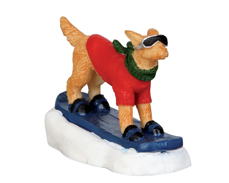 Perro Con Tabla De Snowboard