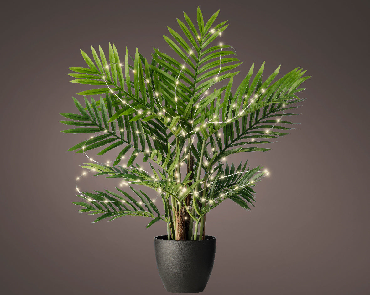 micro luces de plantas led (con pilas) outd ref. 268