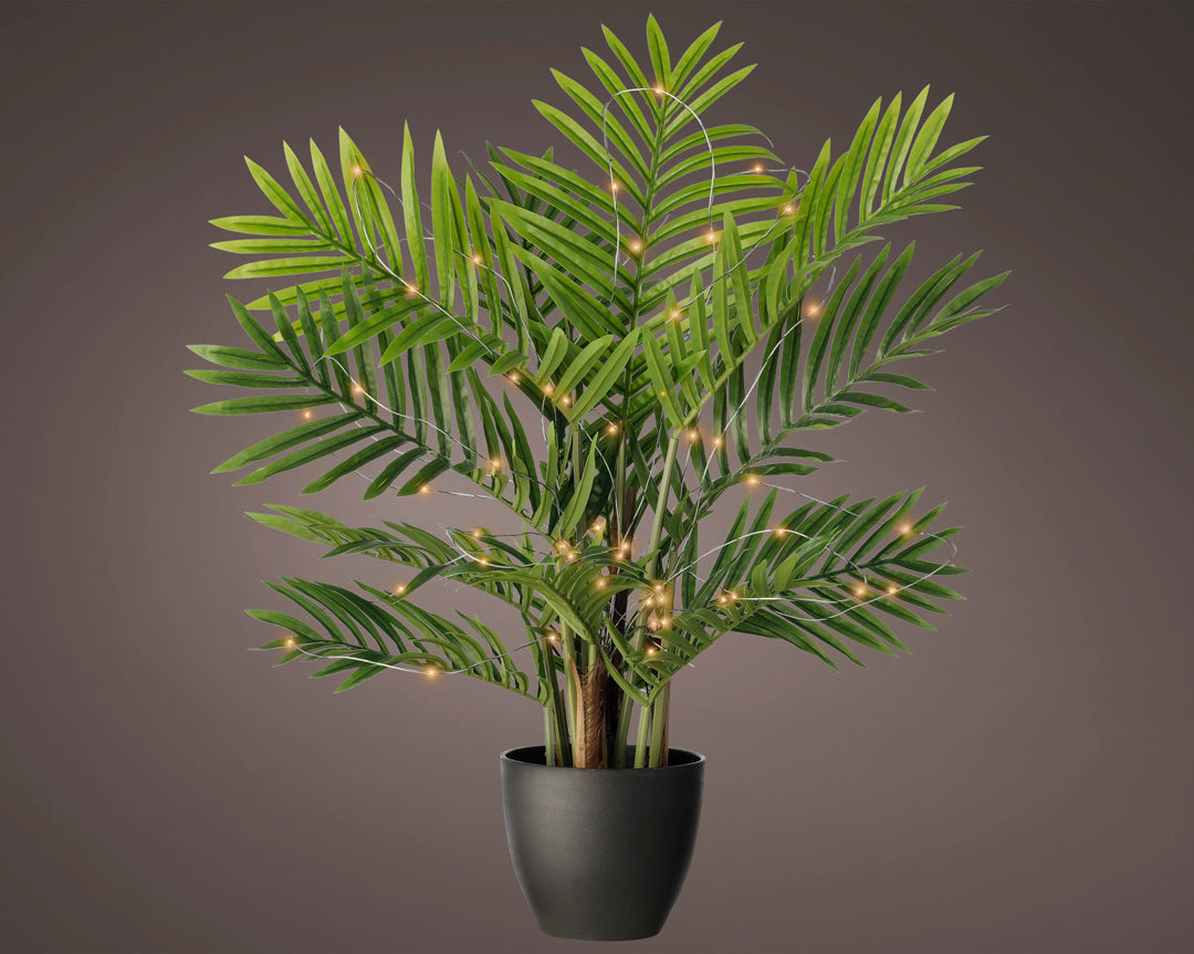 Luces para plantas al aire libre 60LED - CLASSIC WARM