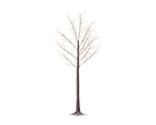 Árbol de Navidad de luces para exterior e interior de 220cm