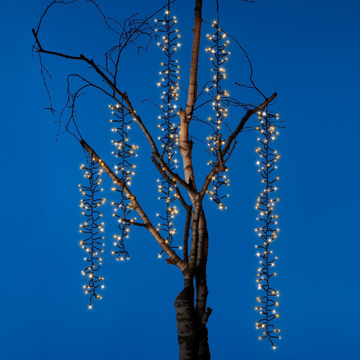 Led blanco cálido 200cm