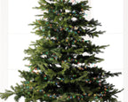 Guirnalda de luces Compact 34m-1500LED  Multicolor