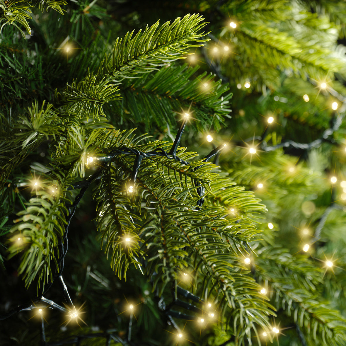 Luces de Navidad Compact 60m Amarillo Clasico con multifunciónes interior y exterior