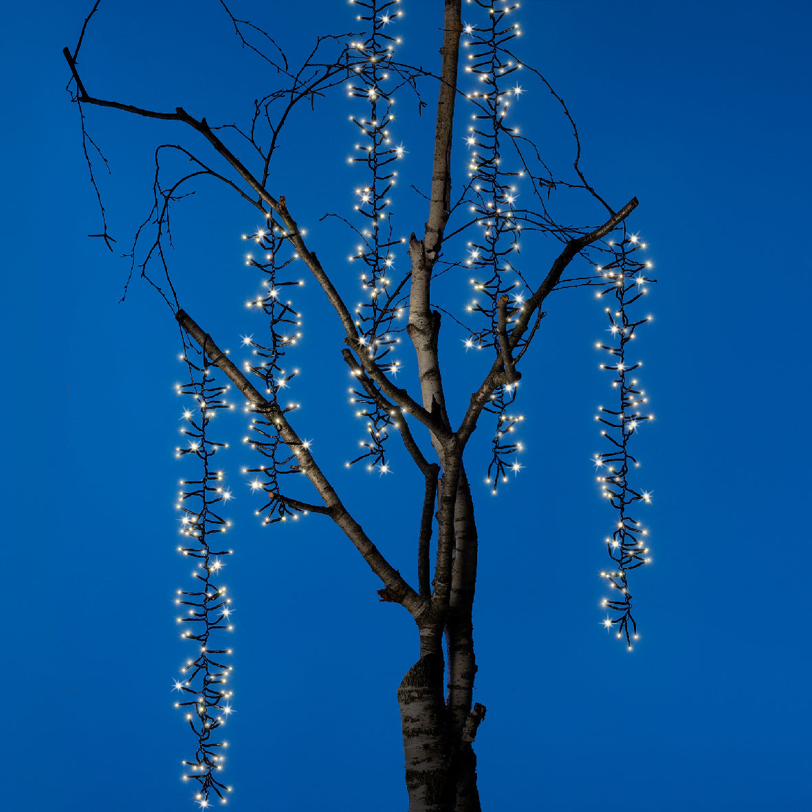 Casada de luces para árboles conectable Blanco Cálido cable negro