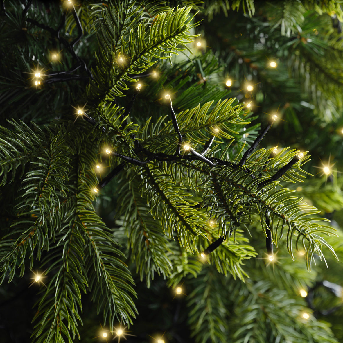 Luces de Navidad Excellent 25m Oro Suave con multifunciónes interior y exterior