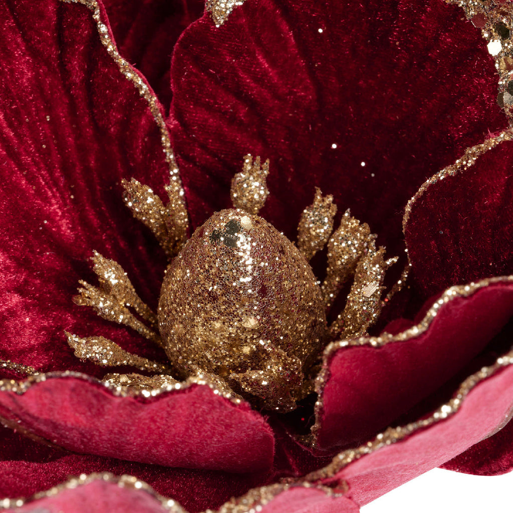 Florales de Navidad