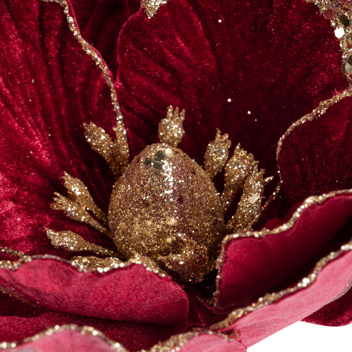 Florales de Navidad