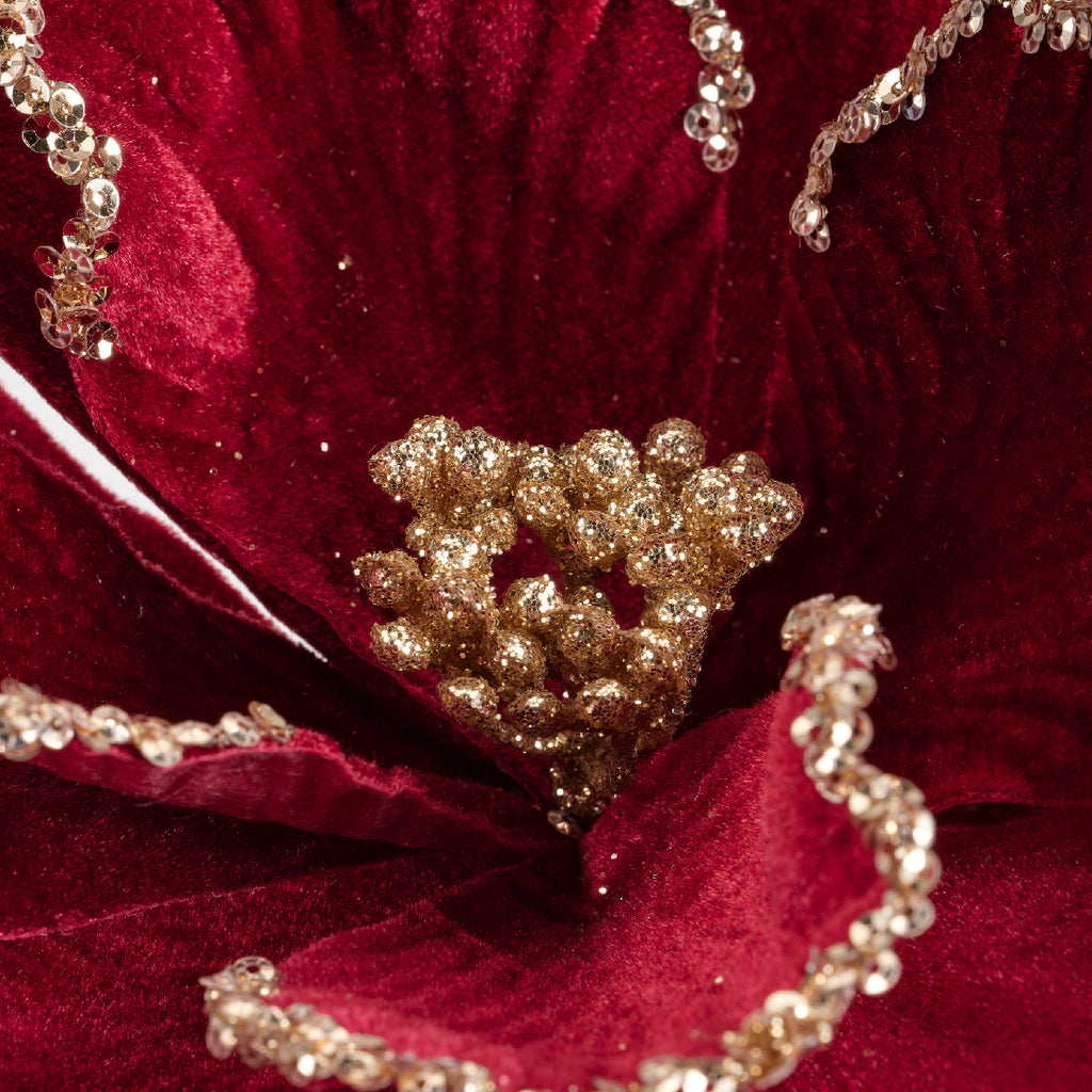 Florales de Navidad
