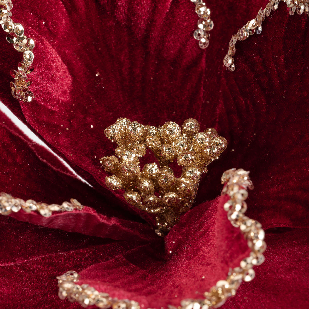 Florales de Navidad