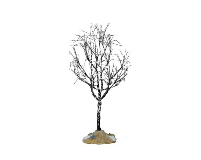 Árbol sin Hojas pequeño para villas