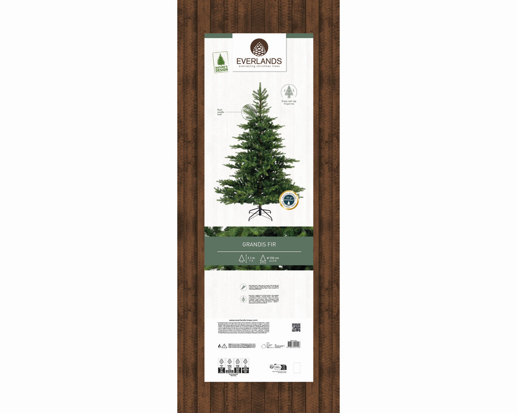 Grandis Fir - Árbol de Navidad