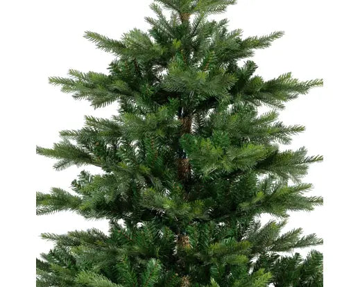 Grandis Fir - Árbol de Navidad