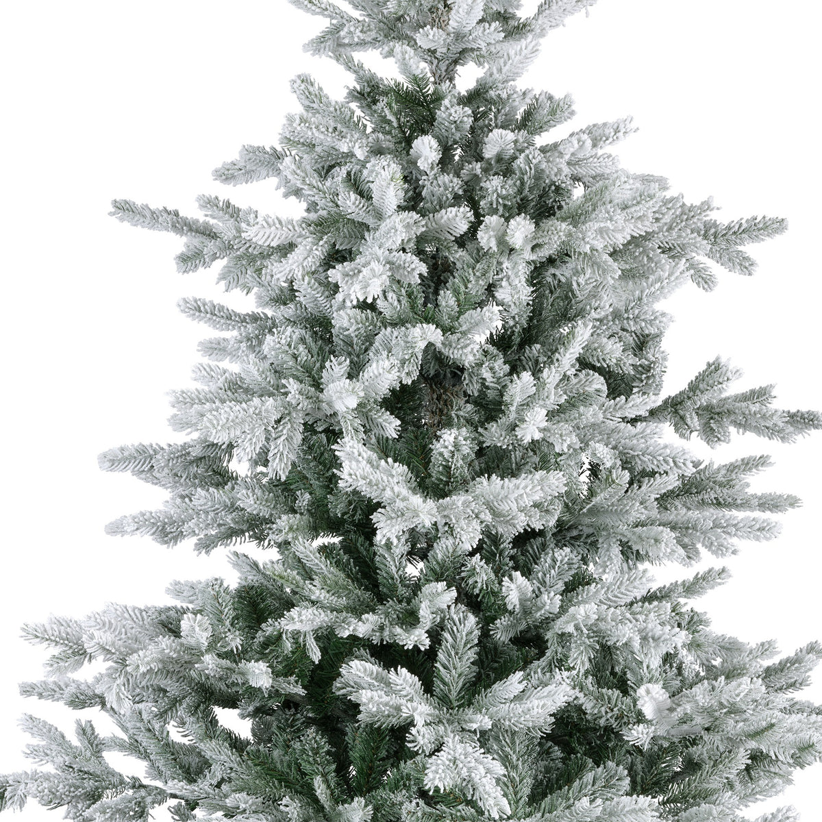 Grandis Fir Nevado - Árbol de Navidad Everlands®