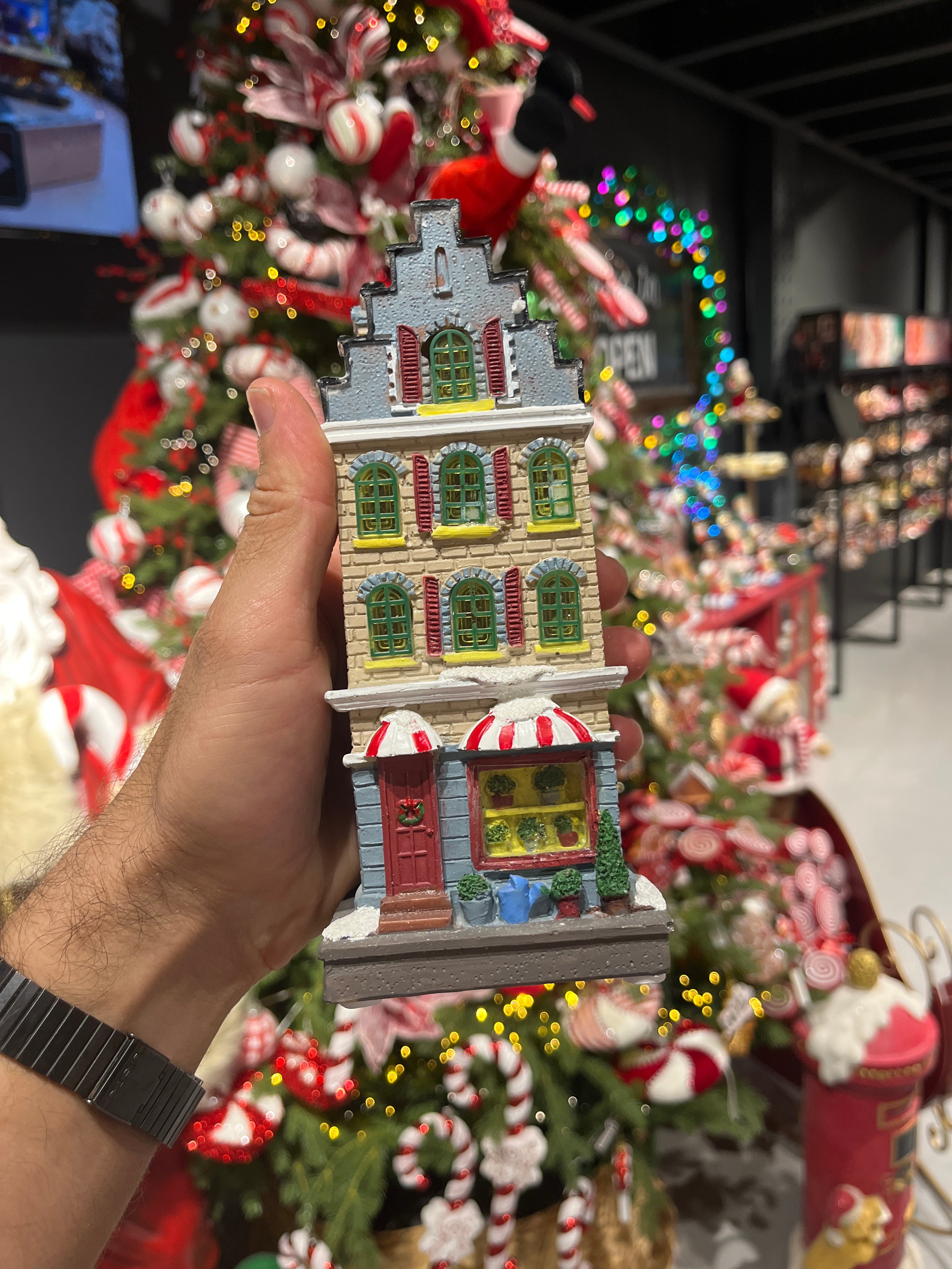 Casas de navidad holandesas iluminadas