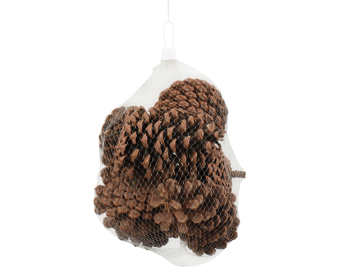 701012-Piñas Naturales-navidad-envio-canarias