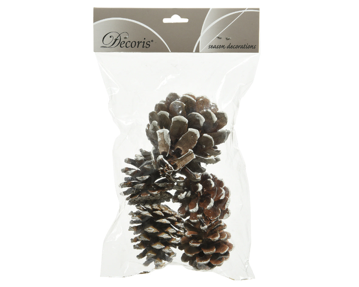 Pinecone natural