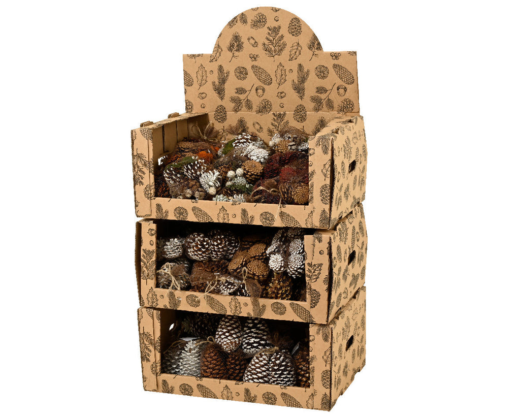 pack de piñas naturales