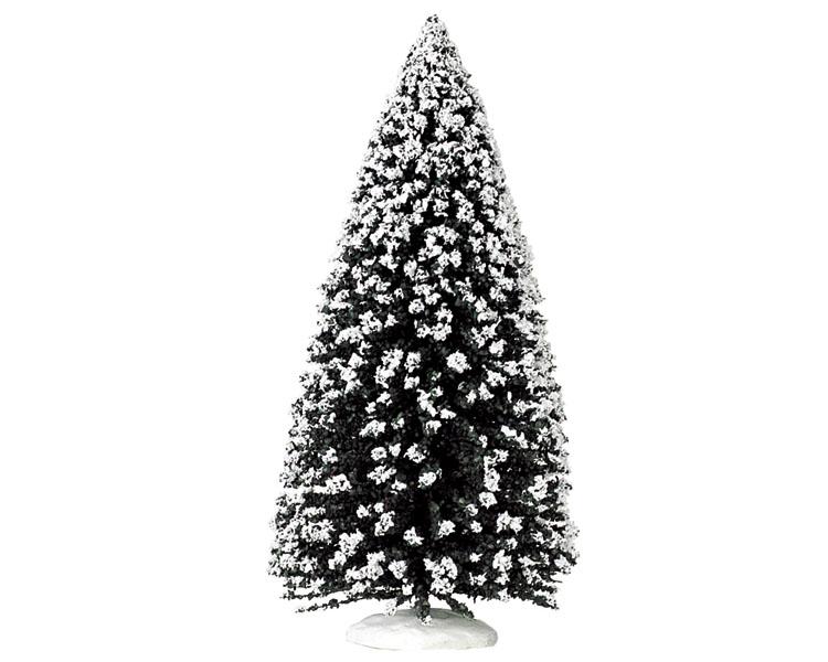 Árbol de hojas perenne blanca, extra larga