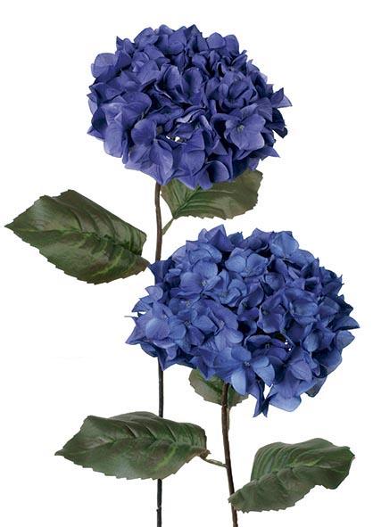 Hortensia violeta intenso