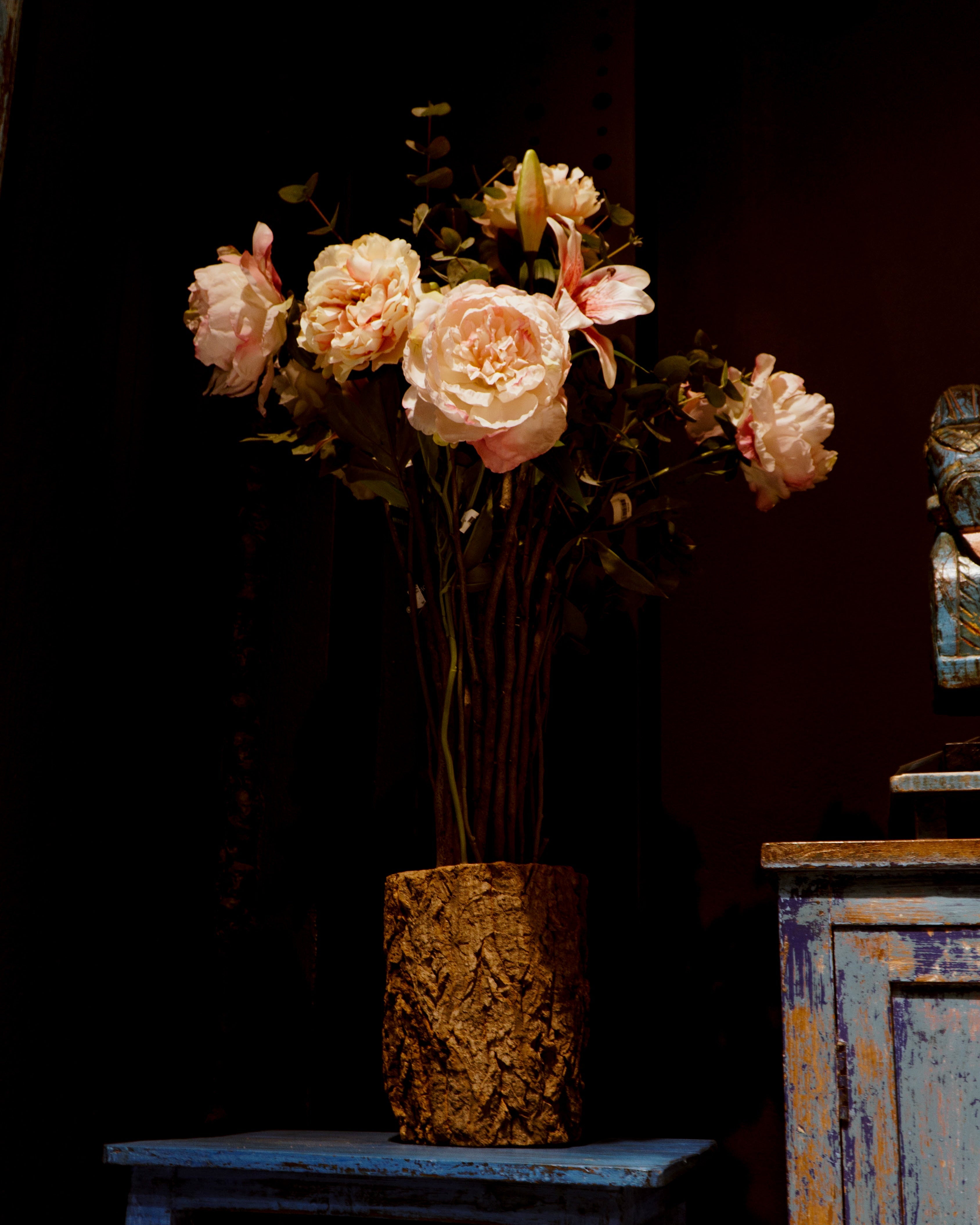 Rosa Silvestre d'Aragon.
