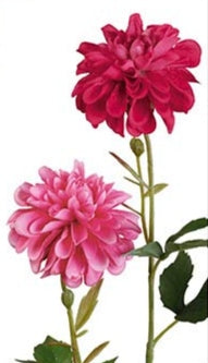 Dalia Cereza