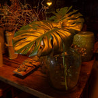 Hoja monstera