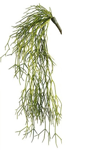 Colgante Rhipsalys