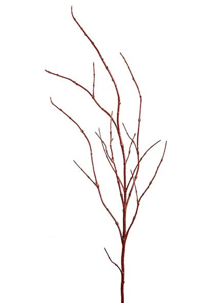 Rama Dogwood
