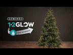 Guirnalda de luces 1-2 Glow Compact y Cluster